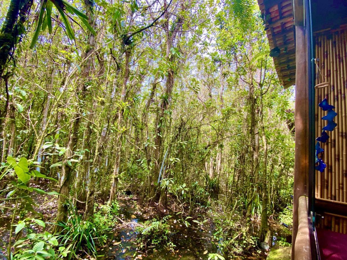 Maresias, Chale H29 Em Condominio De Frente A Entrada 18 Da Praia E Dentro Da Mata Atlantica Sao Sebastiao  Luaran gambar